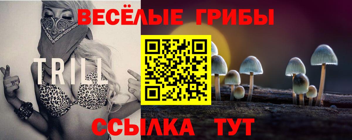 Галлюциногенные грибы Cubensis  Галлюциногенные грибы GOLDEN TEACHER  Вход с VPN  Черкесск 